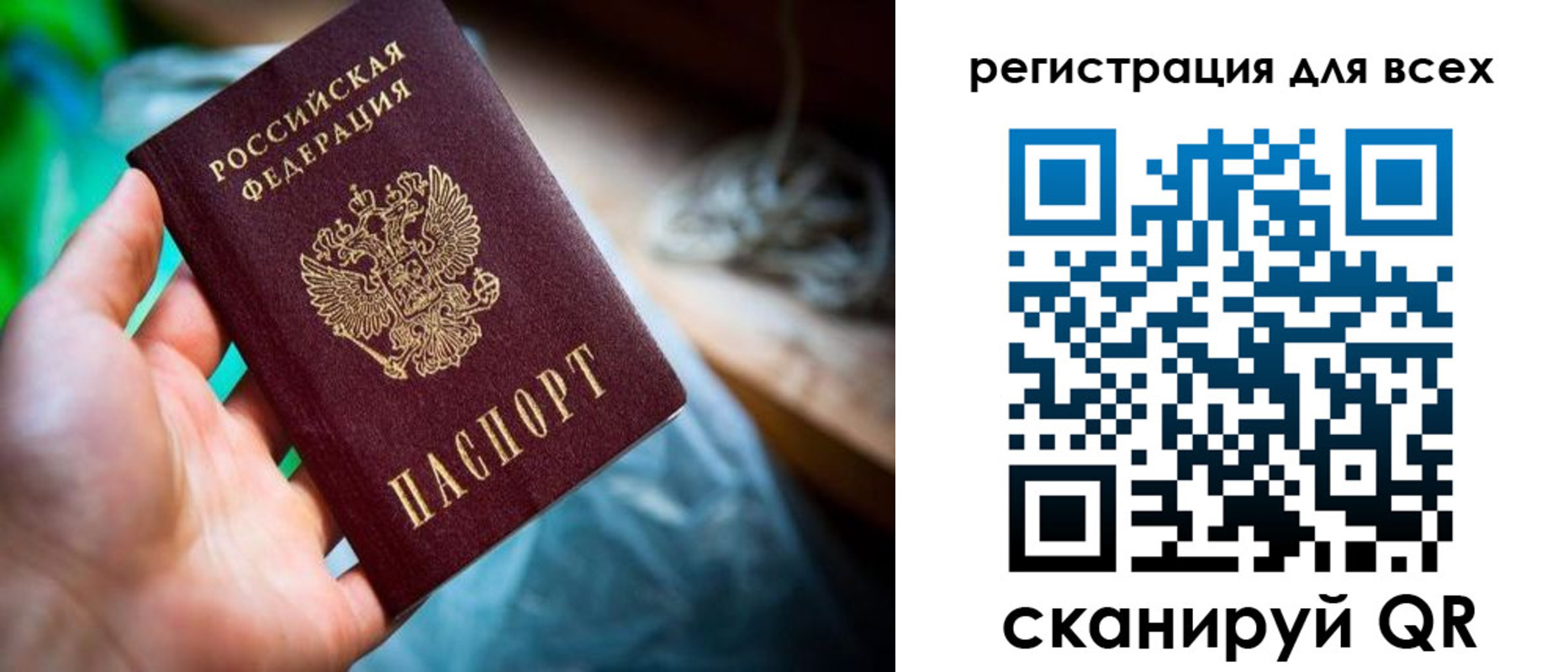 прописка законно в Калининграде